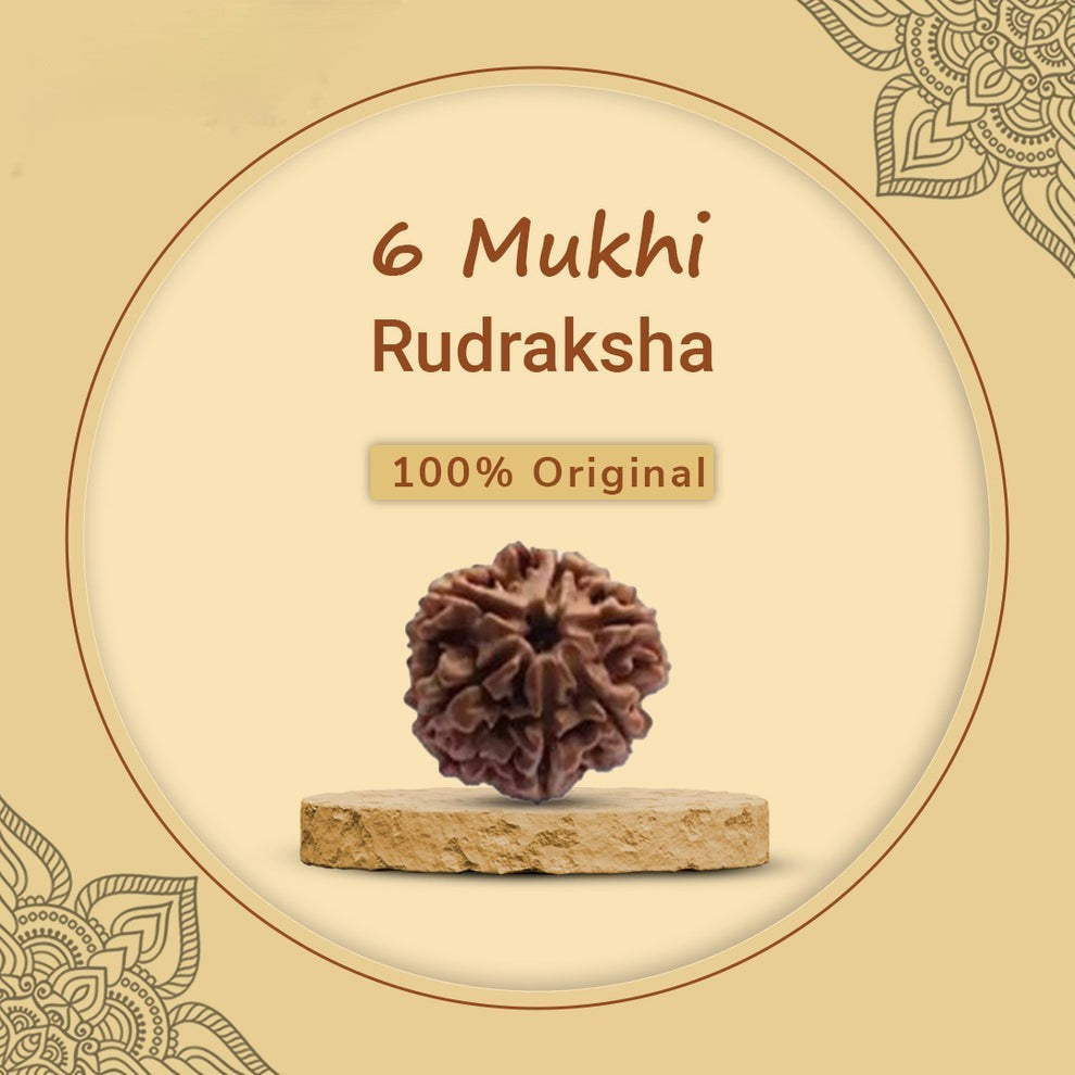 6 Faces Nepali Rudraksha